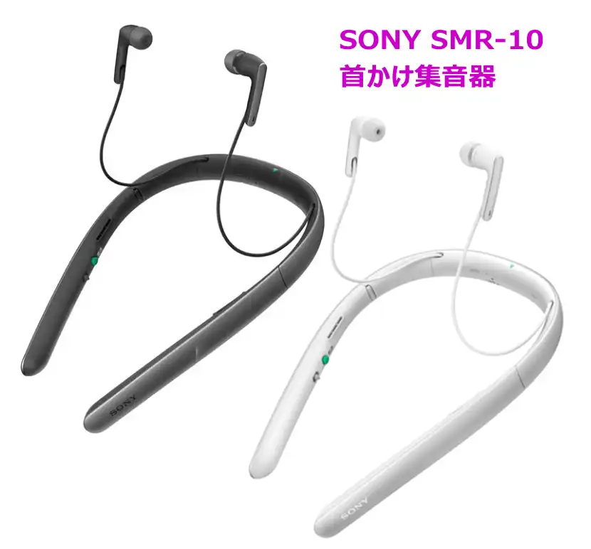 SONY̏W